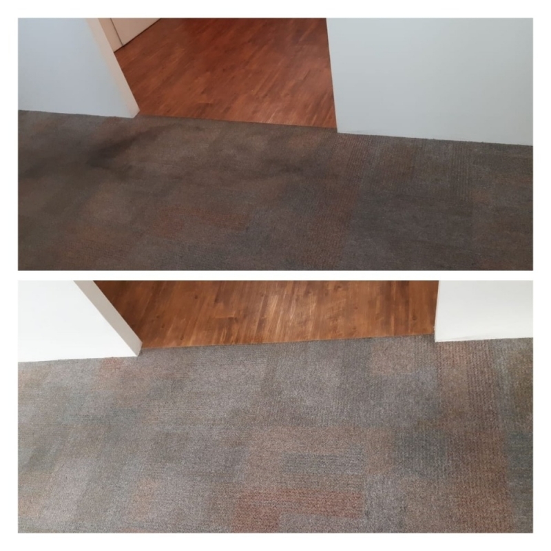 Limpeza Carpete Zona Sul