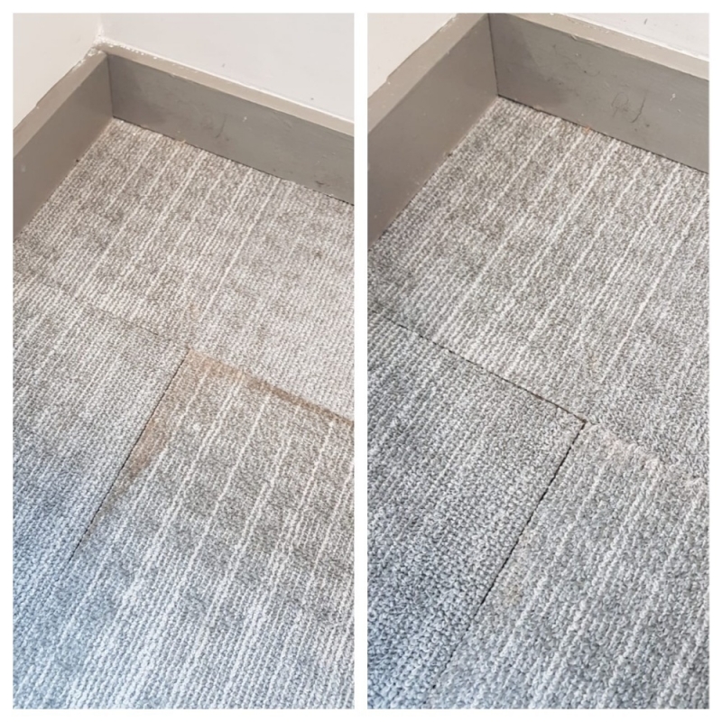 Limpeza Carpete